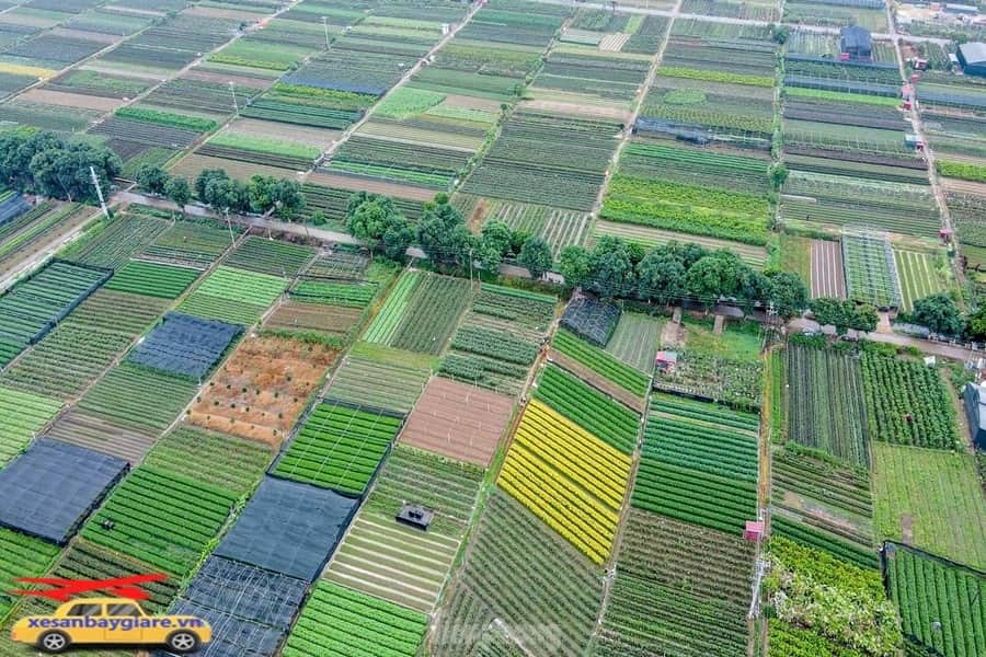 Taxi Mê Linh đi sân bay Nội Bài giá rẻ